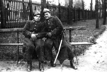 Narcyz Witczak-Witaczyński - Defilada 1 Pułku Strzelców Konnych w Garwolinie (107-1105-25)