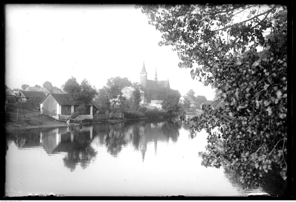 Narcyz Witczak-Witaczyński - Drzewica (107-576-3)