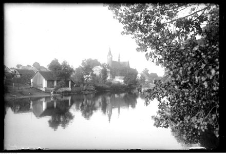 Narcyz Witczak-Witaczyński - Drzewica (107-576-3)