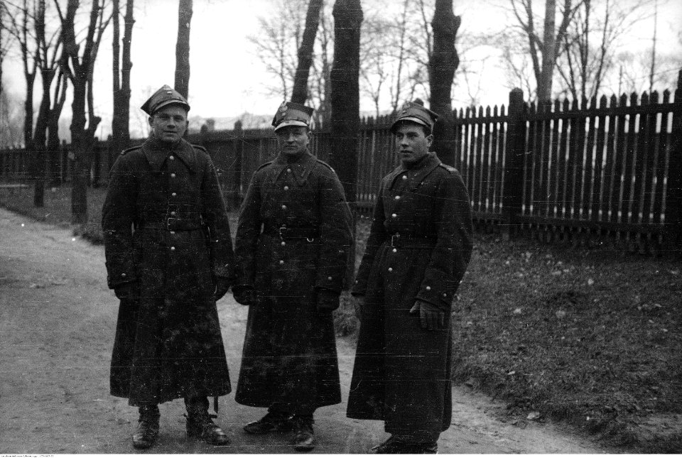 Narcyz Witczak-Witaczyński - Defilada 1 Pułku Strzelców Konnych w Garwolinie (107-1105-23)