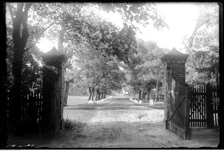 Narcyz Witczak-Witaczyński - Dwór i park w Nowym Dworze (107-739-4)
