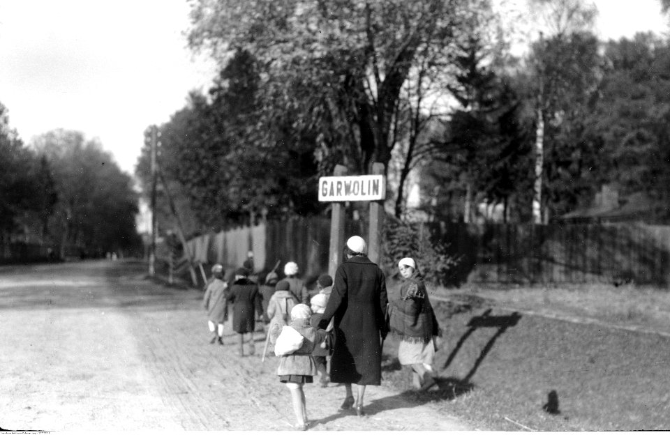 Narcyz Witczak-Witaczyński - Dzieci z przedszkola na kartoflisku (107-597-7)