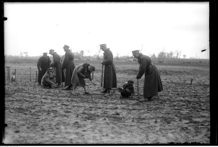 Narcyz Witczak-Witaczyński - Dzień lasu w Osiecku (107-807-5) photo