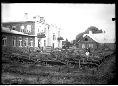 Narcyz Witczak-Witaczyński - Gospodarstwo ogrodnicze Maciejczyka (107-546-1) photo