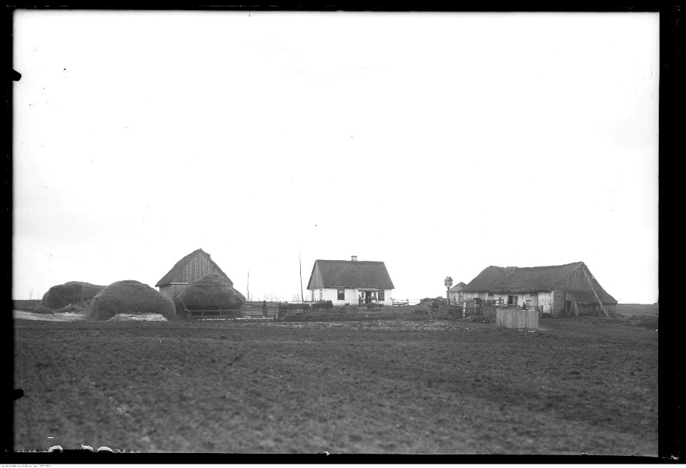 Narcyz Witczak-Witaczyński - Krechowce (107-358-4)