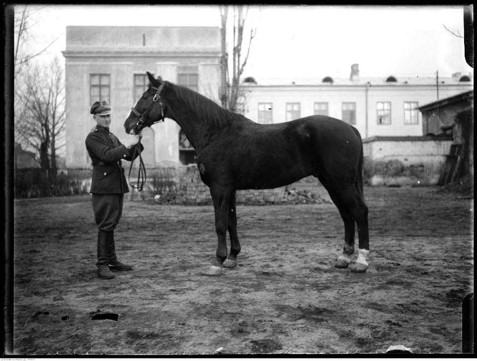 Narcyz Witczak-Witaczyński - Koszary przy ulicy 29 Listopada w Warszawie - fotografie sytuacyjne (107-45-2)