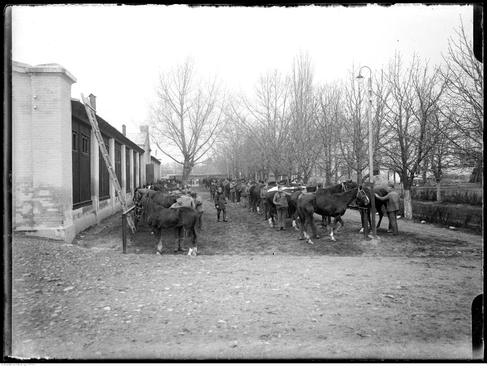 Narcyz Witczak-Witaczyński - Koszary przy ulicy 29 Listopada w Warszawie - fotografie sytuacyjne (107-45-1)