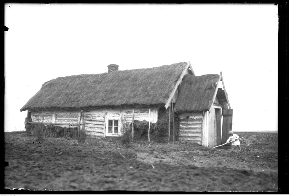 Narcyz Witczak-Witaczyński - Krechowce (107-358-2)
