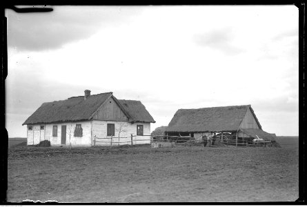 Narcyz Witczak-Witaczyński - Krechowce (107-358-7)