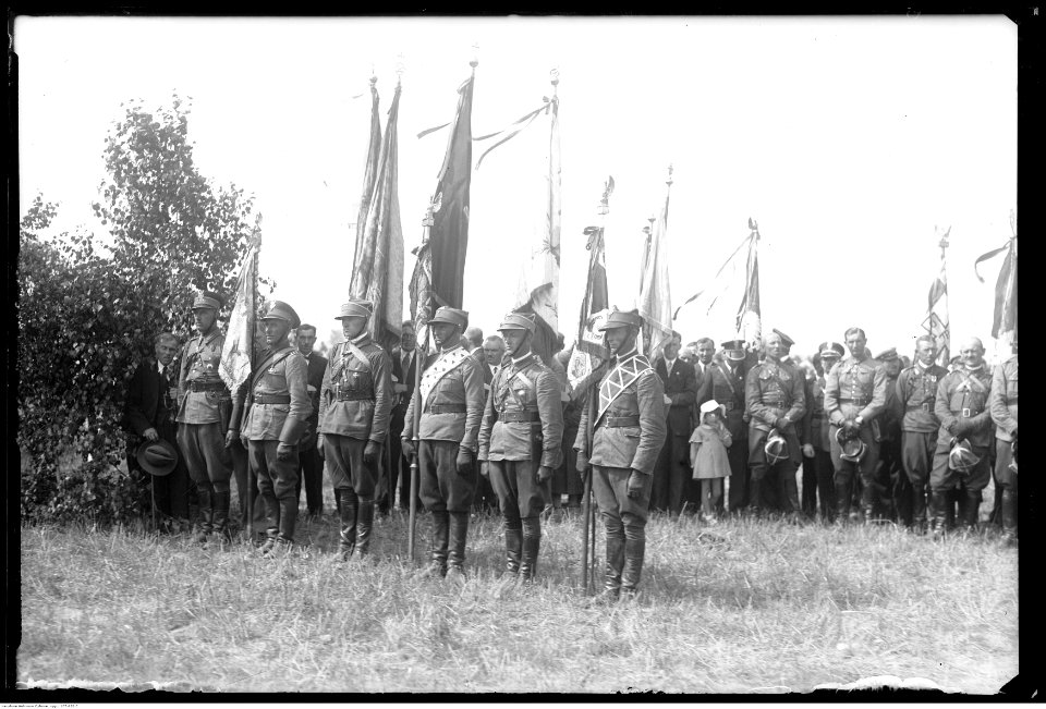 Narcyz Witczak-Witaczyński - Manewry 1 Pułku Strzelców Konnych - pobyt w Kutnie (Święto Żołnierza) (107-682-5)
