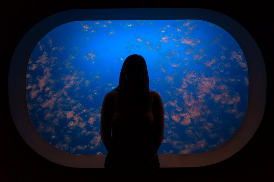 Dark aquarium blue photo