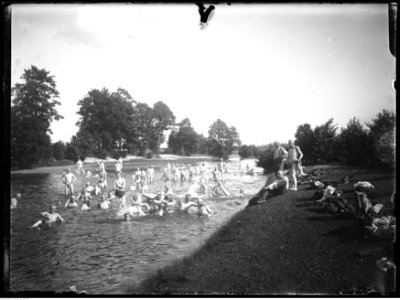 Narcyz Witczak-Witaczyński - Na łąkach w Lasominie (107-73-30)
