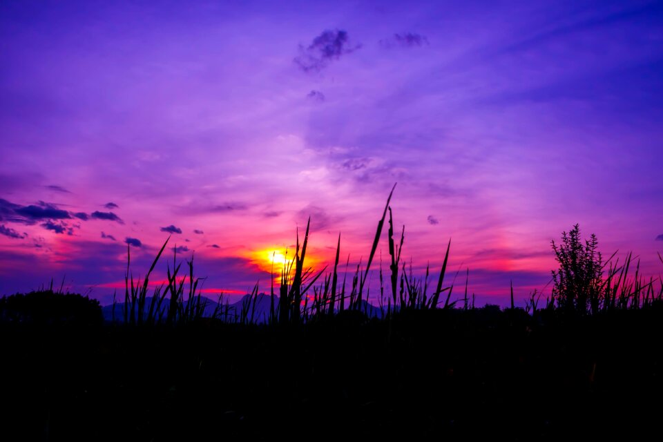 Twilight rainbow field