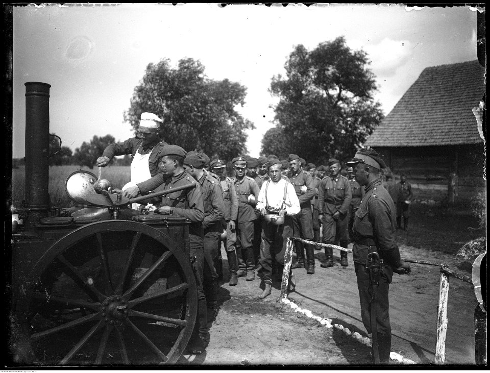 Narcyz Witczak-Witaczyński - Na łąkach w Lasominie (107-73-29)