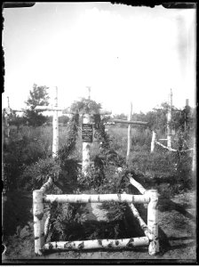 Narcyz Witczak-Witaczyński - Na łąkach w Lasominie (107-73-24)