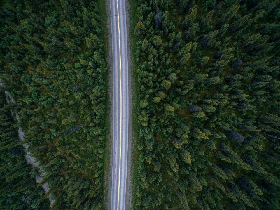 Nature aerial green road photo