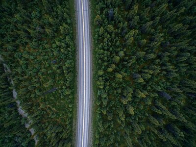 Nature aerial green road