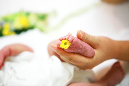 Childbirth newborn baby baby photo