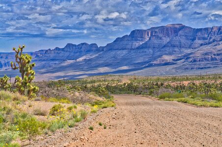 Desert landscape road