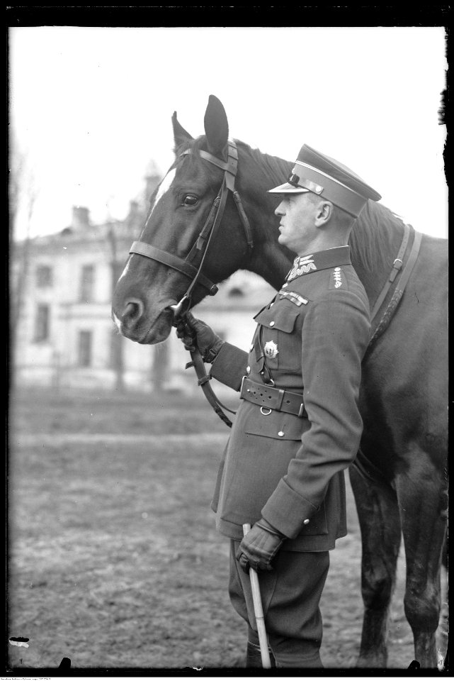 Narcyz Witczak-Witaczyński - Rtm. Józef Makowiecki (107-294-3)