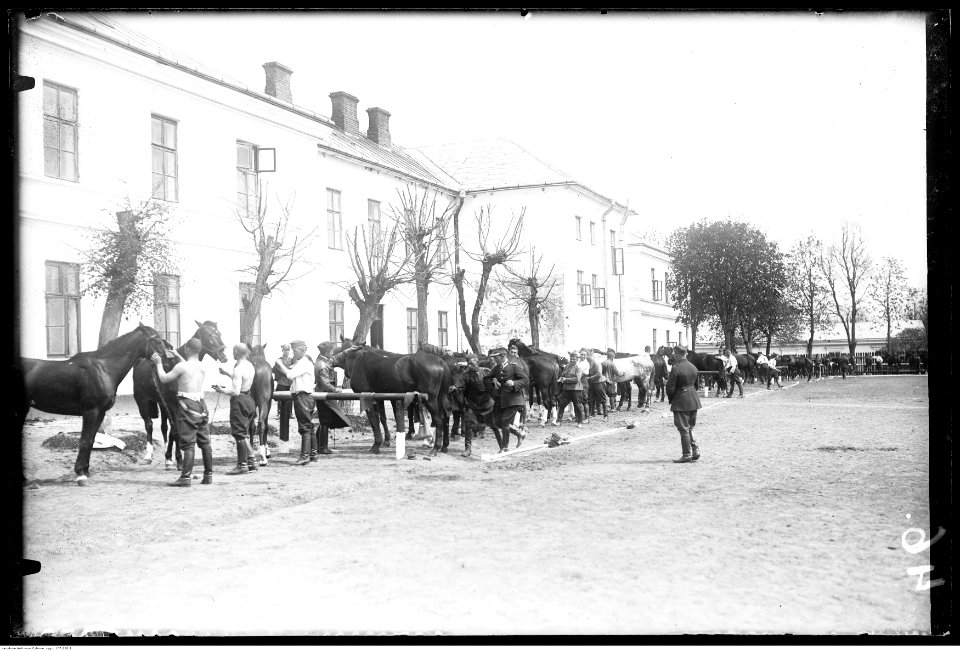 Narcyz Witczak-Witaczyński - Szkoła Podoficerów Zawodowych Kawalerii (107-130-1)