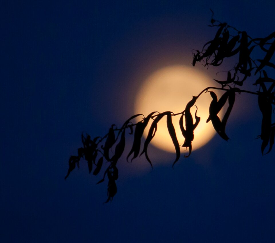 Night sky darkness