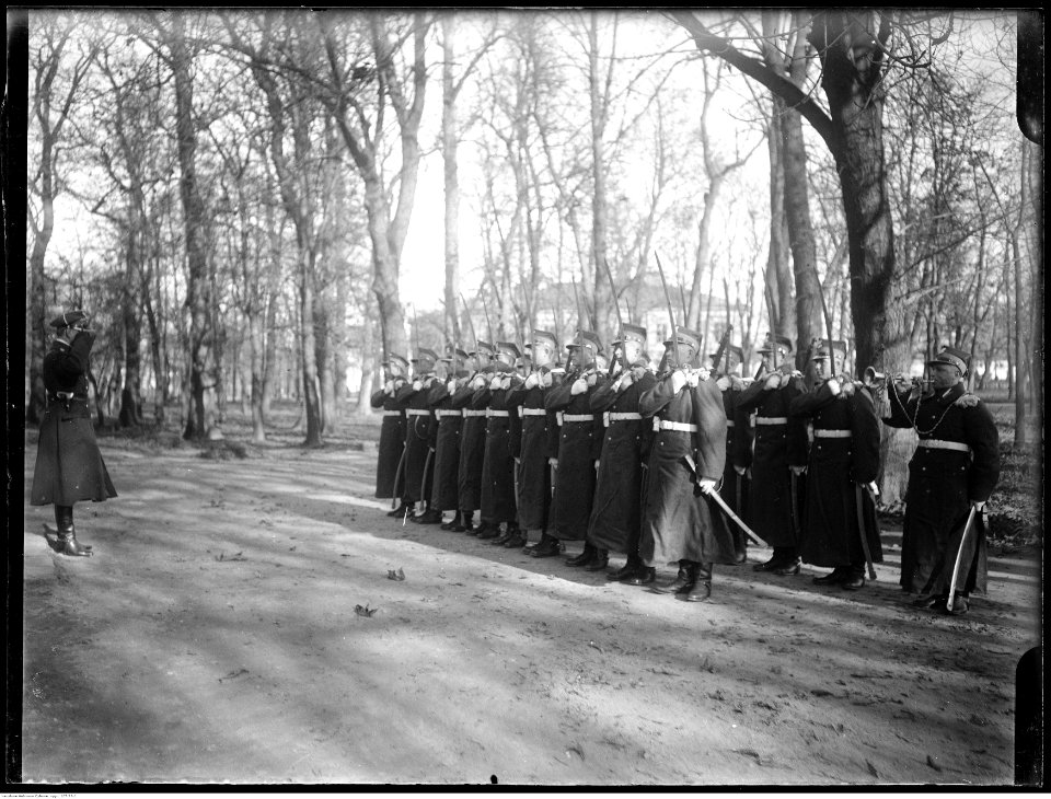 Narcyz Witczak-Witaczyński - Szwadron na warcie w Belwederze (107-78-1)