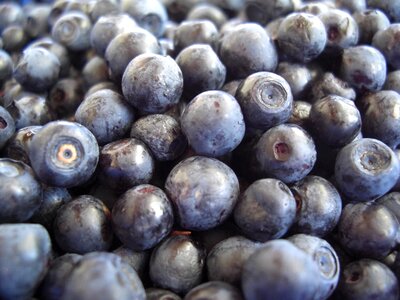 Eat fruit close up