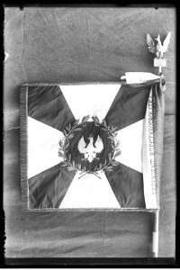 Narcyz Witczak-Witaczyński - Sztandar Oddziału Przybocznego Prezydenta RP (107-110-2)