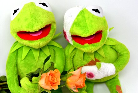 Get well soon roses soft toy