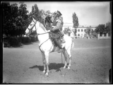 Narcyz Witczak-Witaczyński - Trębacz Orłowski (107-67-1)