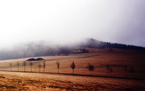 Fog landscape nature