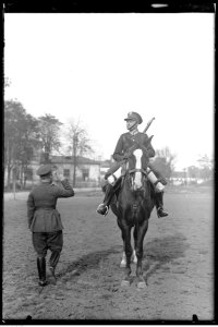 Narcyz Witczak-Witaczyński - Szwol. Kozak (107-282-3)