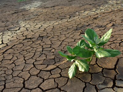 Cracked dry land warming