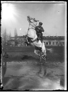 Narcyz Witczak-Witaczyński - Wachm. Narcyz Witczak-Witaczyński w Szwadronie Przybocznym (107-1048-4)