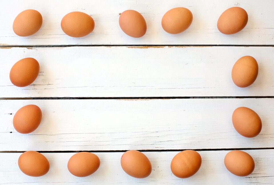 Egg yolk white space border photo
