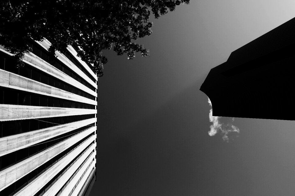 Architecture sky trees
