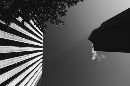 Architecture sky trees