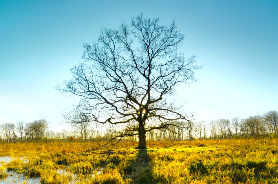 Season outdoors panoramic