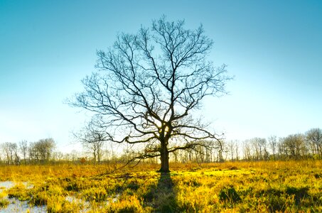 Season outdoors panoramic