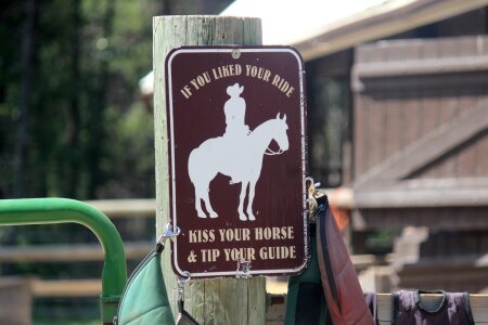Riding horses guide