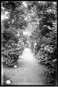 Narcyz Witczak-Witaczyński - Zofia Witczak-Witaczyńska i nierozpoznane osoby (107-1011-1)