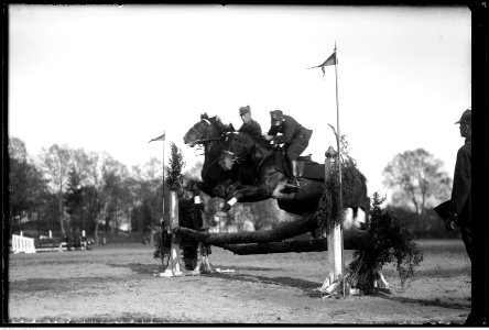 Narcyz Witczak-Witaczyński - Zawody konne (107-641-9)