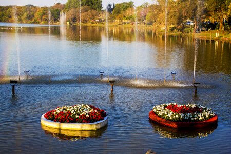 Trip landscape decoration