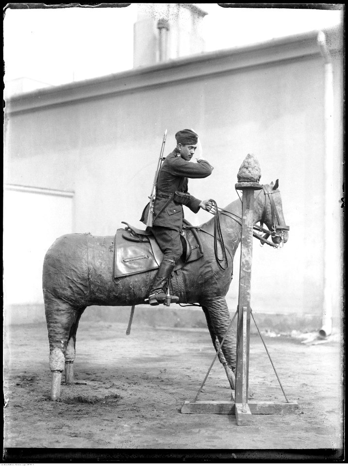 Narcyz Witczak-Witaczyński - Ćwiczenia kawaleryjskie (107-91-1)