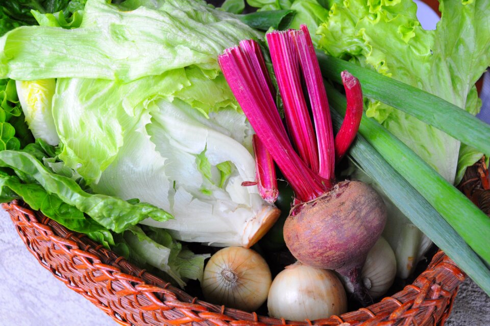 Salad vegetables meal