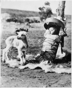 Navajo papoose on a cradleboard with a lamb approaching, Window Rock, Arizona, 1936 - NARA - 519160 photo