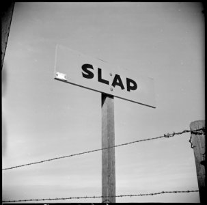 Near Loomis, California. Slap the Jap with Iron Scrap Burma Shave sign on highway. The populati . . . - NARA - 536531