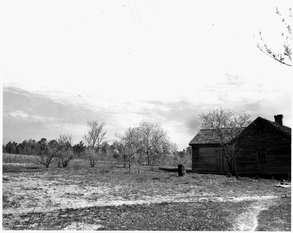 Newberry County, South Carolina. A temporary farm, bare and desolate surrounded by forest and broom . . . - NARA - 522753