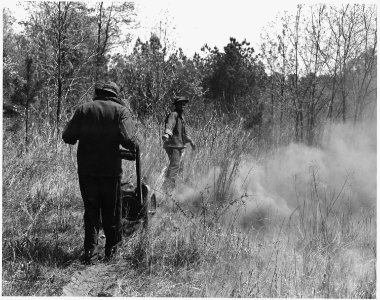 Newberry County, South Carolina. Allegheny fire line trencher in action in a sedge grass and briar f . . . - NARA - 522812